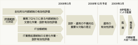 内部統制報告書提出.gif
