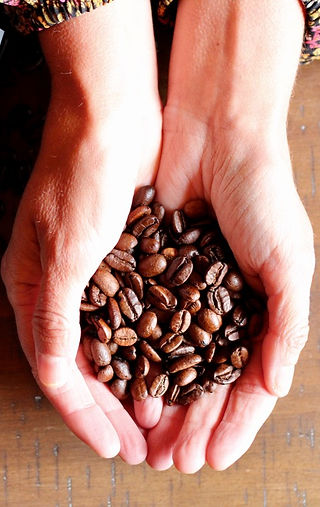 Hands Holding Coffee Beans