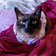 20250612_154915.jpg