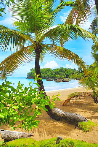 las-terrenas-explorer-playa-bonita-13_ed