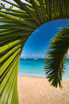 Playa Punta Poppy,Las Terrenas,Samana,Dominican Republic