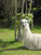 South of Ecuador: Cuenca, Loja and surroundings