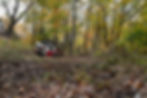 MidwestForestry-54.jpg