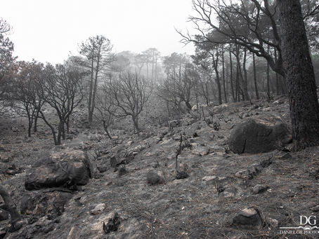 Tajo de las Escobas tras incendio en Verano del 2018