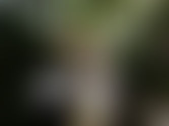 Corpus Christi en El Gastor 2023