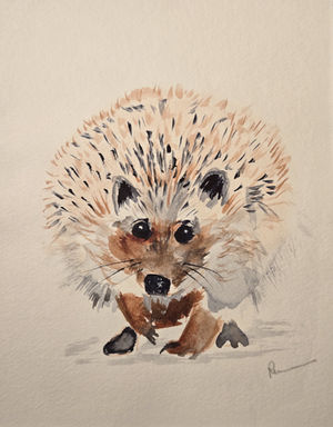 Hedge Hog