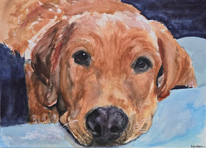 Reggie! Reggie! Loved by Robin and Eli. Adored by everyone.