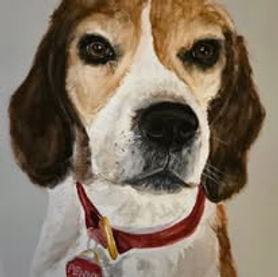Penny.jpg