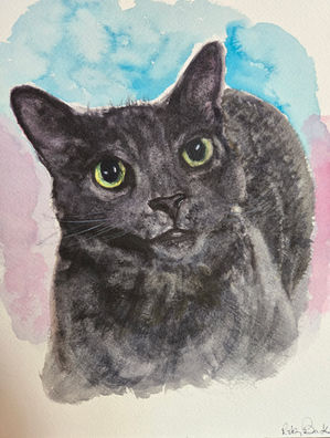 Cinder. Owned and loved by Kayley.