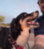 Smiling dog and dog walker