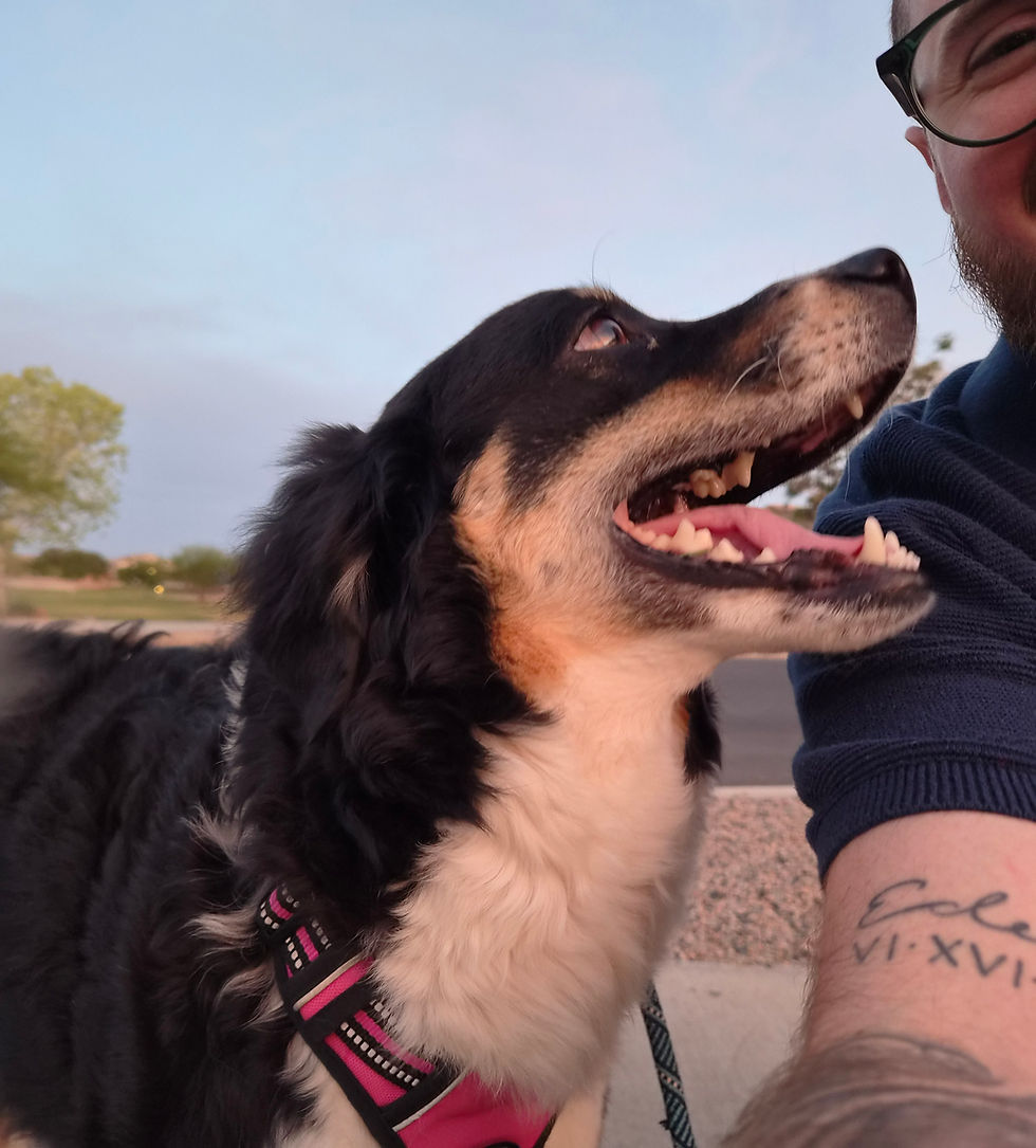Smiling dog and dog walker