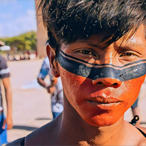 “PASSAR A BOIADA" SOBRE OS POVOS INDÍGENAS E O PL 490/2007