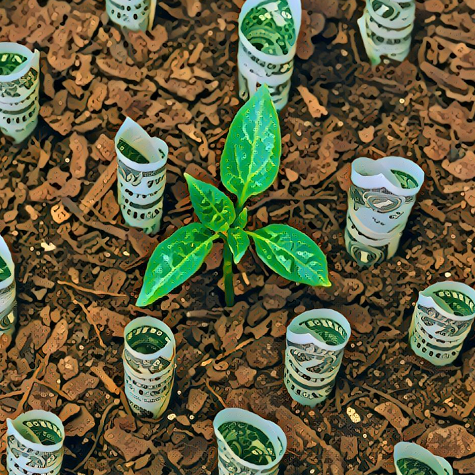 Do que falamos quando falamos sobre Tributação Verde?