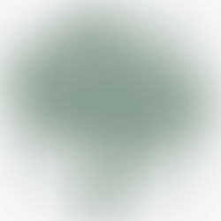 Atualização na Diretoria de Projetos e Parcerias e chamada de colaboradores e coordenadores