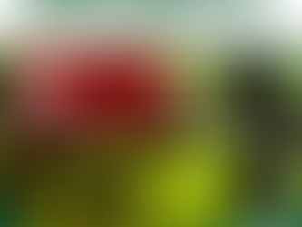 "Los Derechos de la Naturaleza como un paradigma contrahegemónico: El uso táctico del derecho en los litigios judiciales y el caso Cherán"