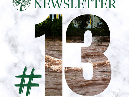 NEWSLETTER #13