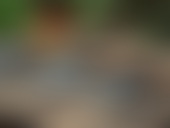 Top Gardening Tools for Successful Crop Management