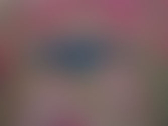 Virtual Exhibition - "Opus Venetum"