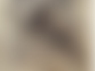 Article - " Les fleurs de Proserpine dans le Confort d’Ami de Guillaume de Machaut ", Ainhoa Bourgeois Ayestarán