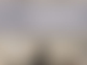 Colloque international - "Interspecies interactions in the visual arts (1550-1914). Collaborations, experimentations, oppositions", Lyon