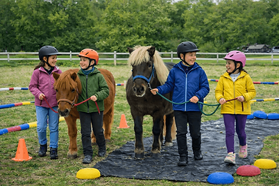 Ponystark - Ponykurs für Kinder