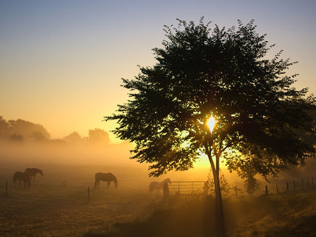 Der Herbst ist da - Zeit der  Veränderung