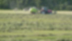 Foin qualité supérieur chevaux