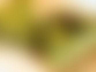 Torta salata broccoli e prosciutto