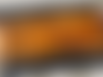 Rotolo salato con cavolo viola,taleggio , mela e mirtilli rossi