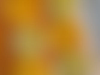 Filetto di salmone agli agrumi