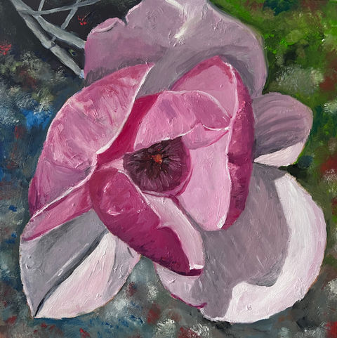 pink magnolia blossom