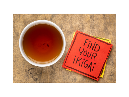 How to Find a Happier & More Fulfilled Life