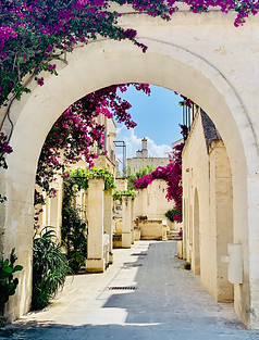 Fora Profile - Puglia.jpg