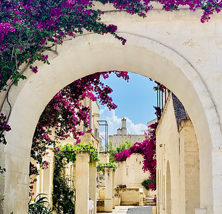 Fora Profile - Puglia.jpg