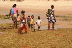 Col·lecta de marisc en familia