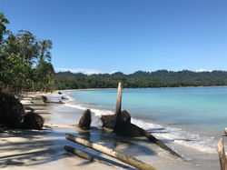 Parc Natural Cahuita