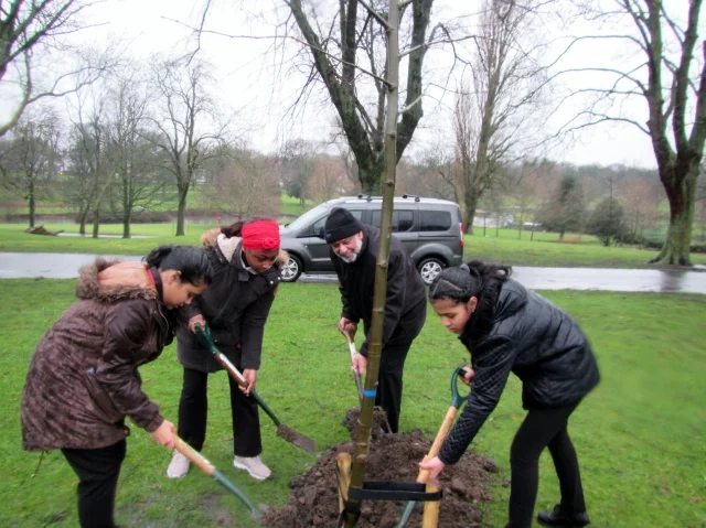 Trees Birmingham Friends Of Handsworth Park