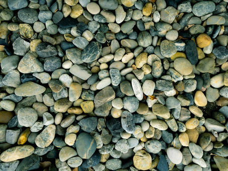 Make a Nature Pattern Hunt