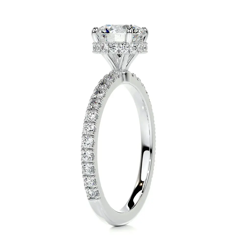 Thumbnail: 1.00ct Halo Round Lab Diamond Ring