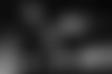 Why Bother Performing?