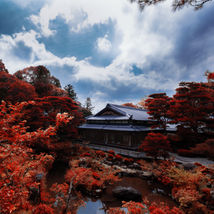 japan_summer19_021.jpg