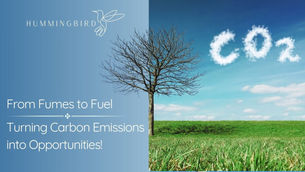 A bare tree stands on a grassy field under a blue sky. "CO2" is written in clouds. Text reads "From Fumes to Fuel, Turning Carbon Emissions into Opportunities."