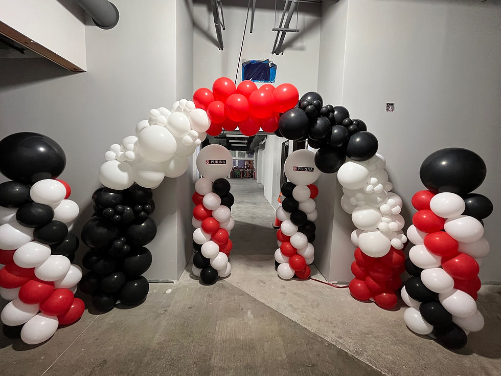 Balloon Columns and Balloon Arch