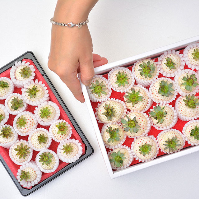 サムネイル： 【水耕白草莓】100g盒裝 / 草莓界愛馬仕 / 開盒即可食 / 新鮮現採