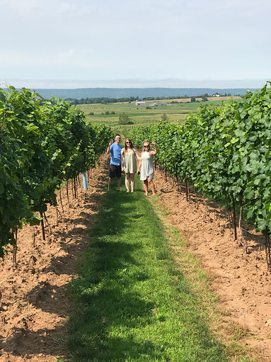 Wines we visit