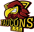 faucons.png