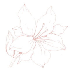 RW Homecare Flower rose