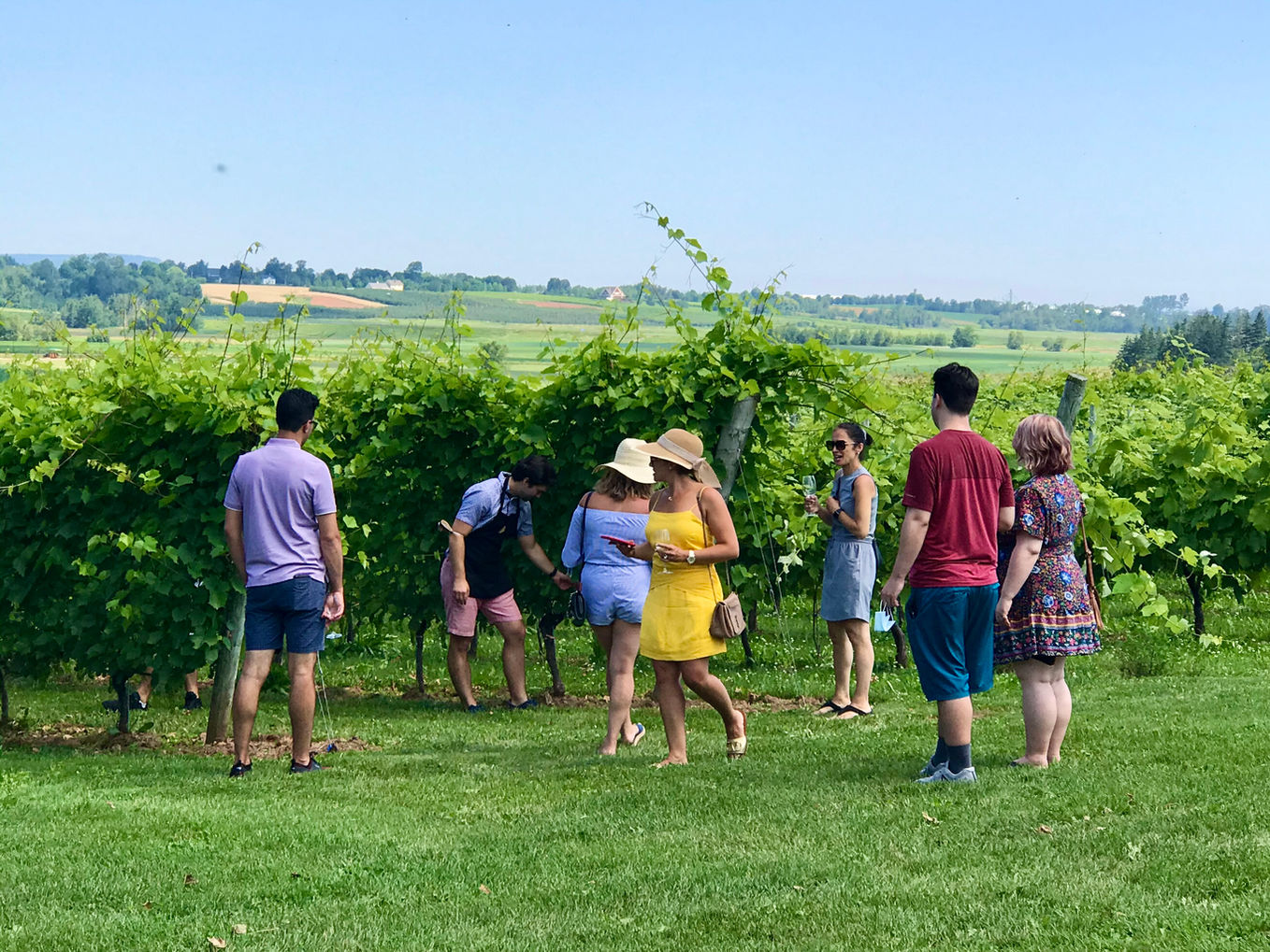 Escape through the vines