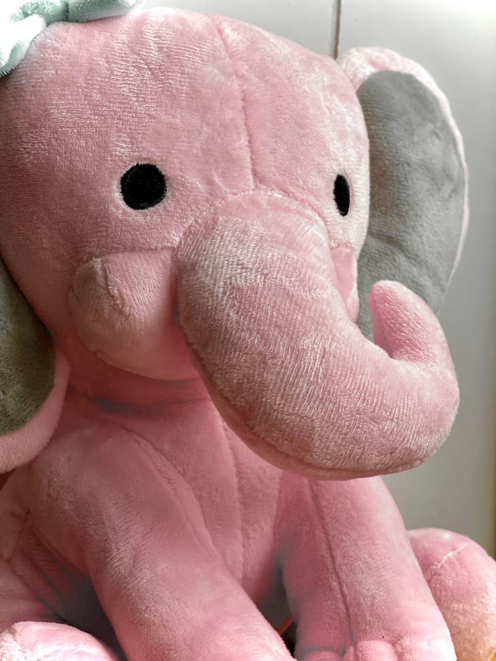 Miniature : Éléphant personnalisé- Statistiques de naissance