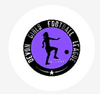 Devon League logo